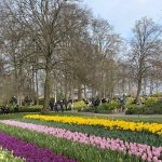 Guía Definitiva para visitar Ámsterdam