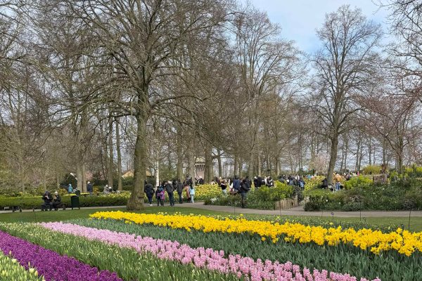 Guía Definitiva para visitar Ámsterdam