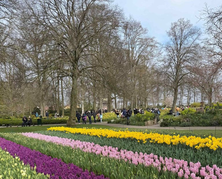 Guía Definitiva para visitar Ámsterdam