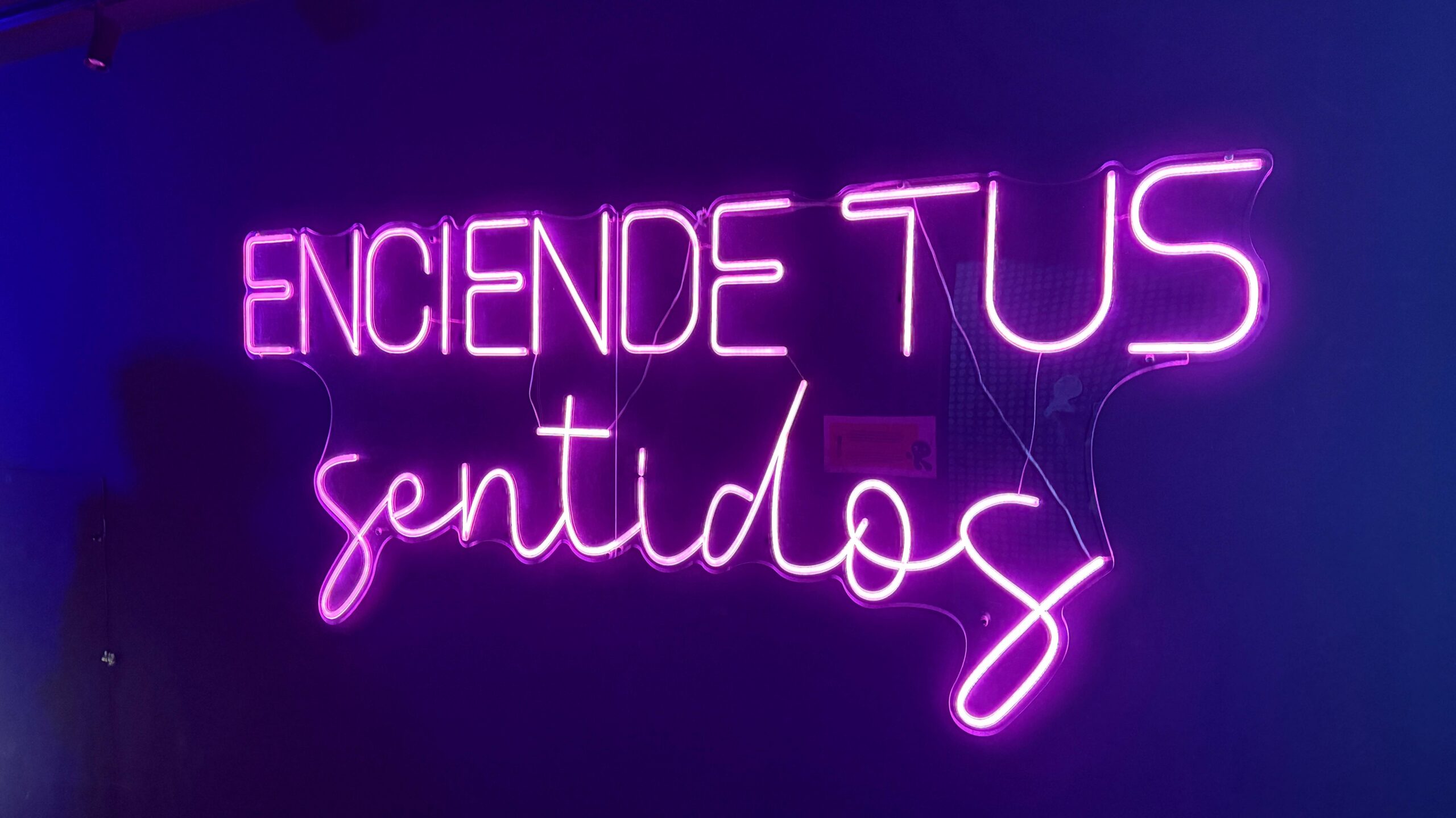 Museo de los Sentidos Madrid
